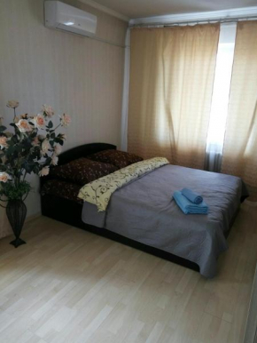 Obolonskiy Prospekt Apartments 10